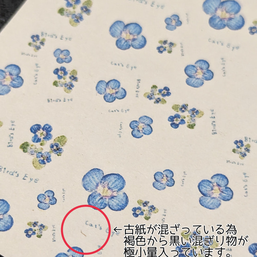オオイヌノフグリ デザインペーパー (A4 5枚入り) 包装紙