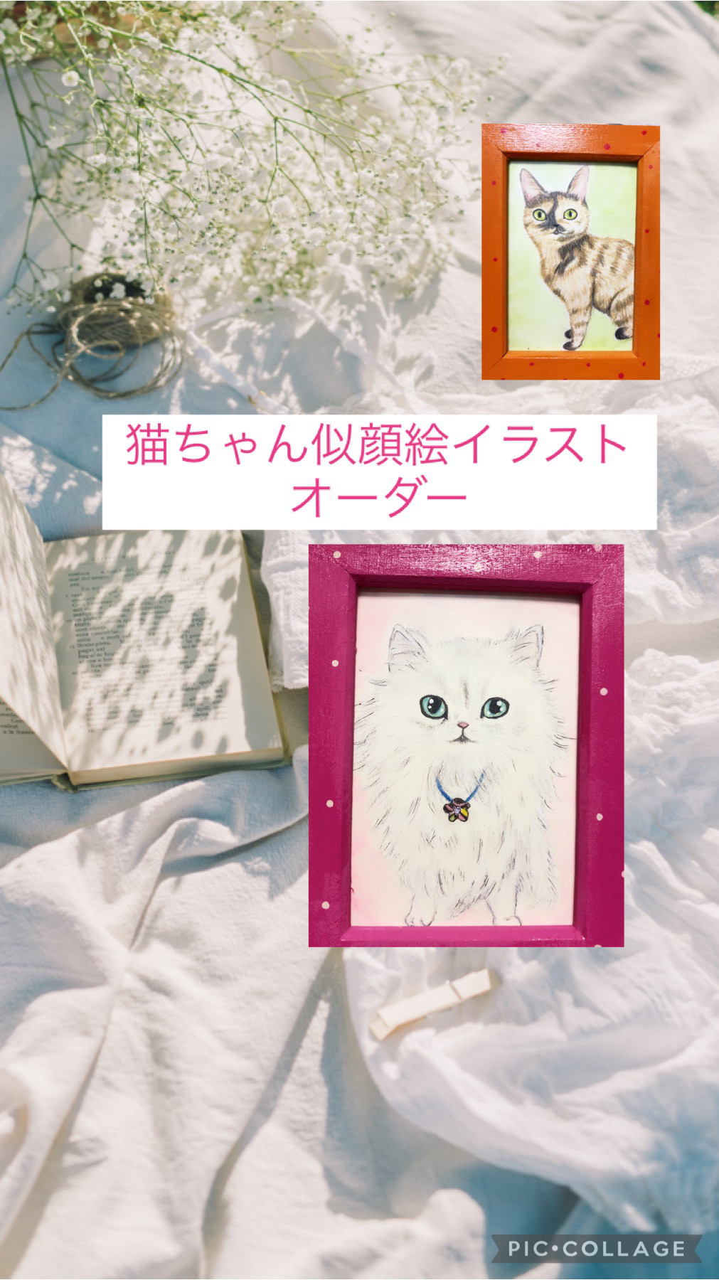 猫も杓子も Ω イラスト