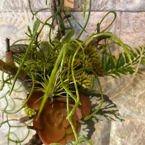 光触媒 人工観葉植物 ウォールグリーン フェイクグリーン 壁掛け流木