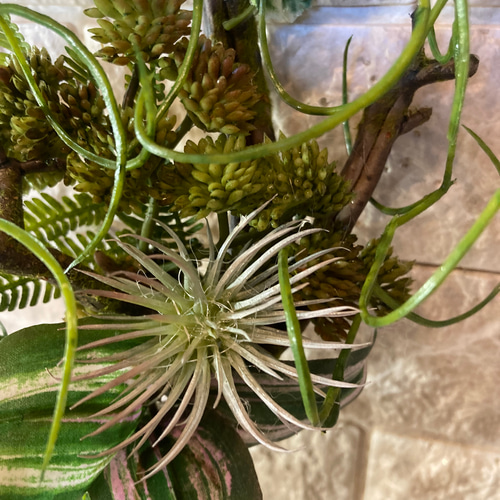 光触媒　人工観葉植物　ウォールグリーン　壁掛けラグジュアリーアレンジ・アメジスト 光触媒 人工観葉植物 ウォールグリーン フェイクグリーン 壁掛け