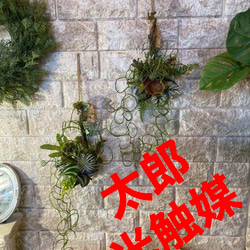 光触媒 人工観葉植物 ウォールグリーン フェイクグリーン 壁掛け