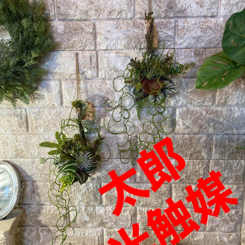 光触媒 人工観葉植物 ウォールグリーン フェイクグリーン 春の 光触媒 人工観葉植物 ウォールグリーン フェイクグリーン 春の