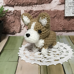 ミニサイズのコーギー犬の編みぐるみ×ラウンド型コースター① 2枚目の画像