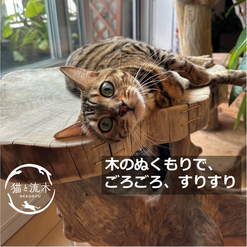 木のぬくもりに包まれる 流木ねこベッド【猫と流木ねこりゅう