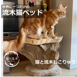 木材 クッション・ベッド のおすすめ人気通販｜Creema(クリーマ