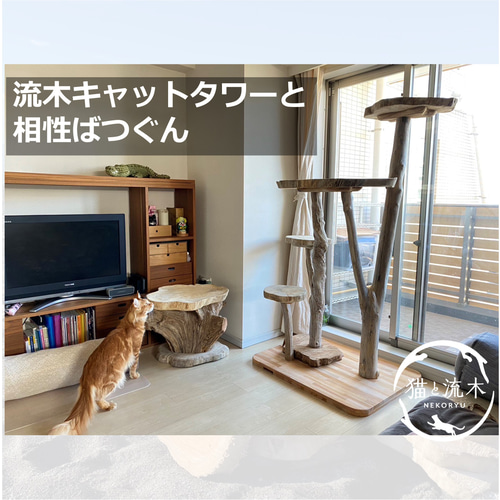 木のぬくもりに包まれる 流木ねこベッド【猫と流木ねこりゅう