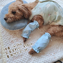 犬用 小型犬 レインレッグガード レッグウォーマー 【4足入・ミニ巾着袋付】 撥水素材  ゴム入  雨上がり 泥はね防止 7枚目の画像