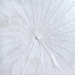 「雪の艶」蓮の葉アート 3枚目の画像