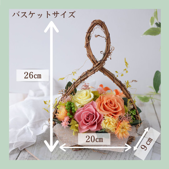 カーリーオーバルバスケット オレンジ カーネーション ローズ プレゼント ギフト 母の日 花 12枚目の画像