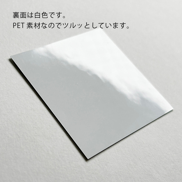 虹色に輝く！ ホログラム（レインボー） ホワイト印刷の名刺オーダー 横型 000円 ホログラム レインボー 新規デザイン作成