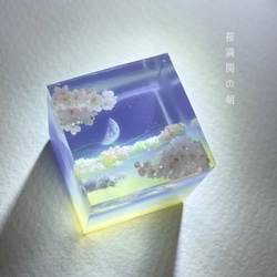 【受注製作】情景レジン-桜満開の朝　空/プレゼント/月 2枚目の画像