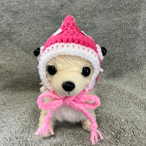 超小型犬用帽子♡端午の節句♡鯉のぼりの帽子 ペット服・アクセサリー