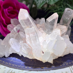 ヒマラヤ✨  マニカラン産　ピンク水晶  原石　クラスター 1枚目の画像