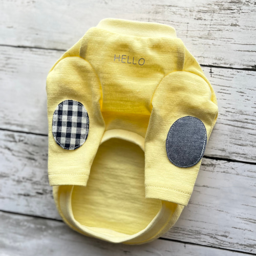 オーダー】紅いちご×デニムフリルスカートのセットイントレーナー犬服