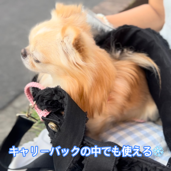 クール　カフェマット　犬　長時間保冷剤付き 10枚目の画像