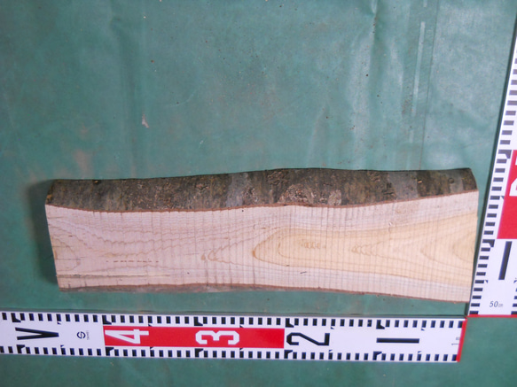林樹【やまさくら／耳付き板】国産木材  No.24.04.09-④ 木工クラフト・ウッドワーク果物くだもの 4枚目の画像