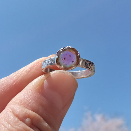 1点もの バイカラートルマリン ハンドエングレービングシルバーリング