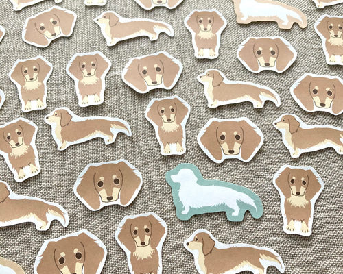 ドッグトルソー ダックス チョコ色♪ 楽天市場】犬 トルソー ダックス