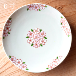 葉桜紋シリーズ 大きめ２サイズ /葉桜紋５寸皿（約1５.８cm）or 葉桜紋６寸皿（約1８.４cm） 7枚目の画像