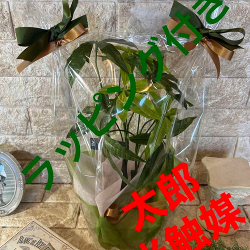 光触媒 人工観葉植物 ウォールグリーン フェイクグリーン 母の日