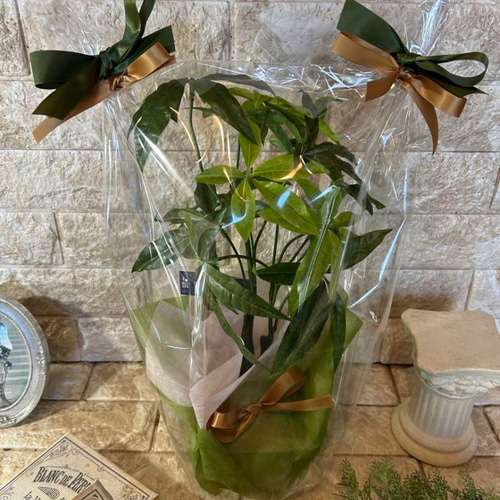 光触媒 人工観葉植物 ウォールグリーン フェイクグリーン 母の日