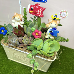 〜多肉植物寄せ植え〜樹脂粘土レジン(粘土細工)ガーデンピック(五月人形) 2枚目の画像