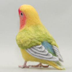 [Ｙ様専用] コザクラインコ タイガーチェリー / 羊毛フェルト リアルサイズ 8枚目の画像