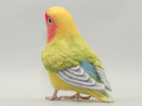 [Ｙ様専用] コザクラインコ タイガーチェリー / 羊毛フェルト リアルサイズ 8枚目の画像