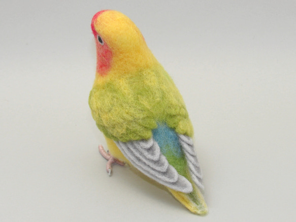 [Ｙ様専用] コザクラインコ タイガーチェリー / 羊毛フェルト リアルサイズ 3枚目の画像