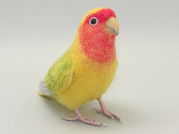 [Ｙ様専用] コザクラインコ タイガーチェリー / 羊毛フェルト リアルサイズ 2枚目の画像