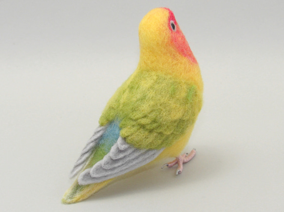 [Ｙ様専用] コザクラインコ タイガーチェリー / 羊毛フェルト リアルサイズ 5枚目の画像