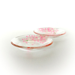 桜の丸小皿✿二枚組 6枚目の画像