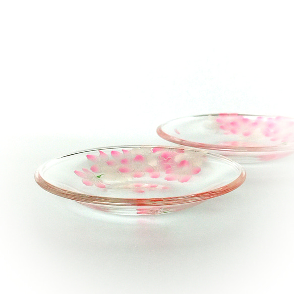 桜の丸小皿✿二枚組 2枚目の画像