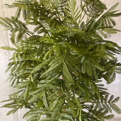 光触媒　人工観葉植物　ウォールグリーン　フェイクグリーン　エバーフレッシュ16555 6枚目の画像