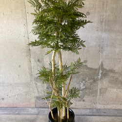 光触媒　人工観葉植物　ウォールグリーン　フェイクグリーン　エバーフレッシュ16555 4枚目の画像