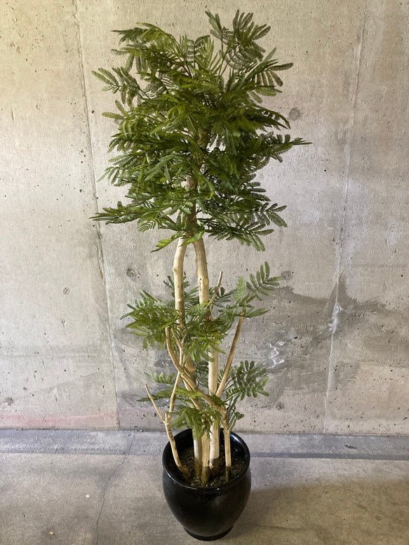 光触媒　人工観葉植物　ウォールグリーン　フェイクグリーン　エバーフレッシュ16555 4枚目の画像