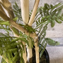 光触媒　人工観葉植物　ウォールグリーン　フェイクグリーン　エバーフレッシュ16555 9枚目の画像