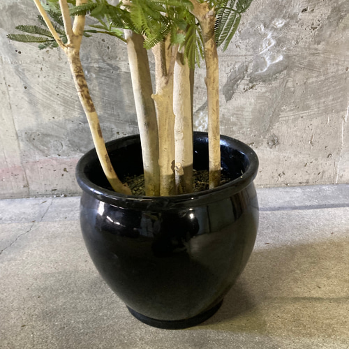 光触媒 人工観葉植物 ウォールグリーン フェイクグリーン 光触媒 人工観葉植物 ウォールグリーン フェイクグリーン