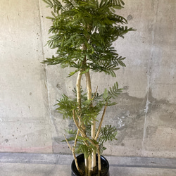 光触媒　人工観葉植物　ウォールグリーン　フェイクグリーン　エバーフレッシュ16555 5枚目の画像