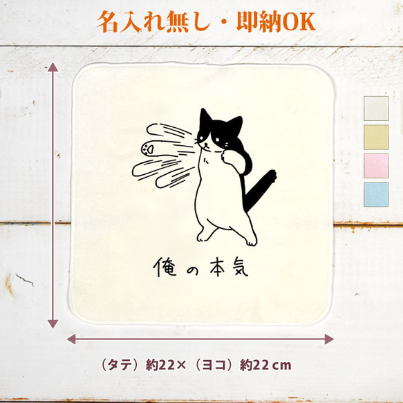 今治製 タオルハンカチ おもしろ 猫 ハチワレ ネコパンチ 百裂拳 動物