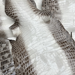 ヒマラヤワニ革 横36cm ナイル クロコダイル 天然素材 レザークラフト手細工 財布 バッグ用 ハンドメイド 手作り 1枚目の画像
