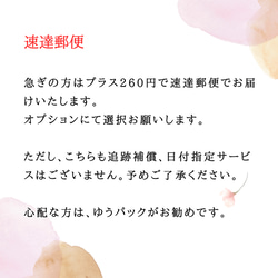 （単品）胡蝶蘭の髪飾り（シャーベットオレンジ）　和風髪飾り　お好きな数だけ選んでいただけます 6枚目の画像