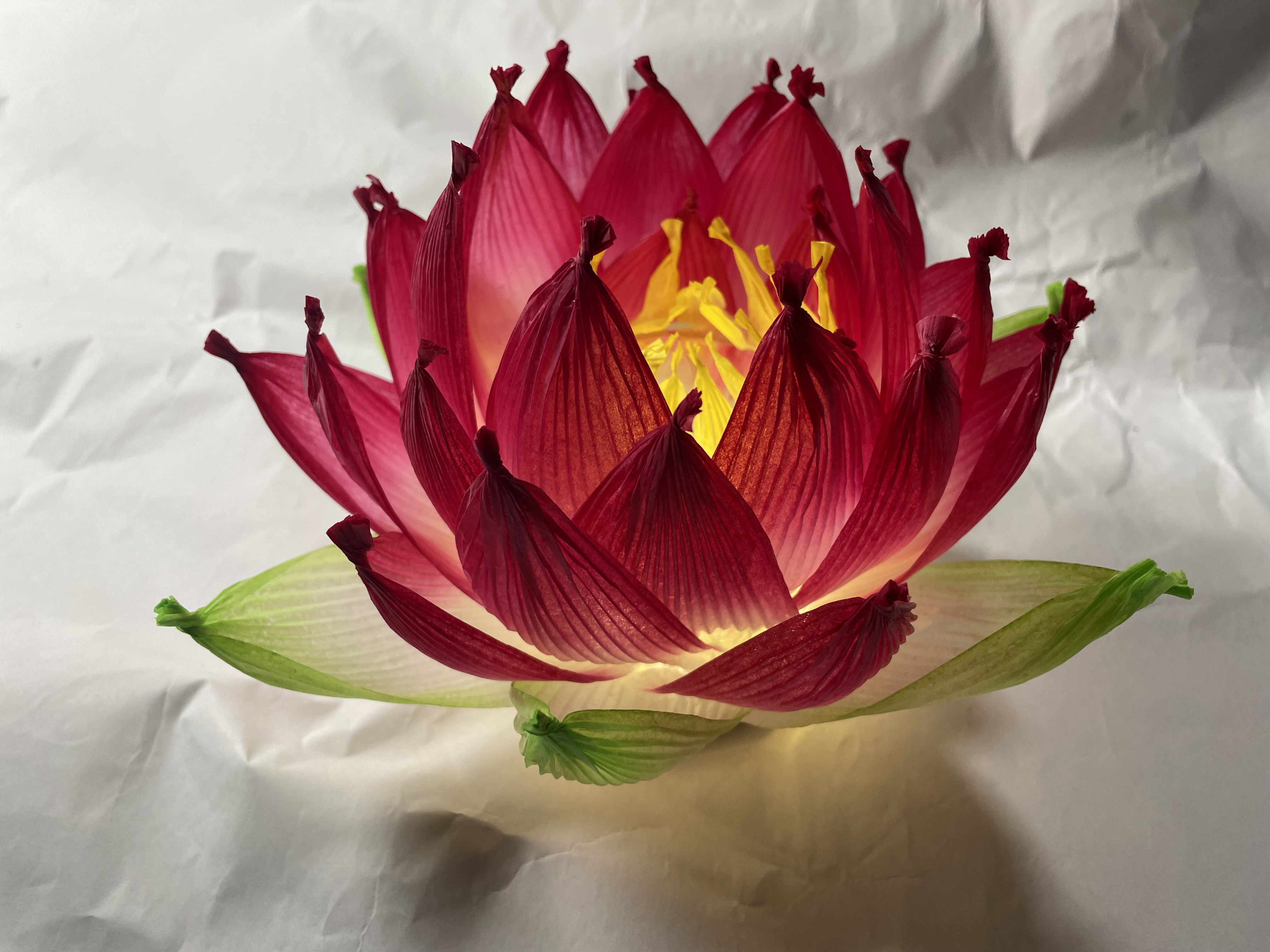 蓮の花　一枚板テーブル 蓮の花様専用 一枚板テーブル