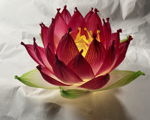 蓮の花 一枚板テーブル 蓮の花様専用 一枚板テーブル 【公式通販】