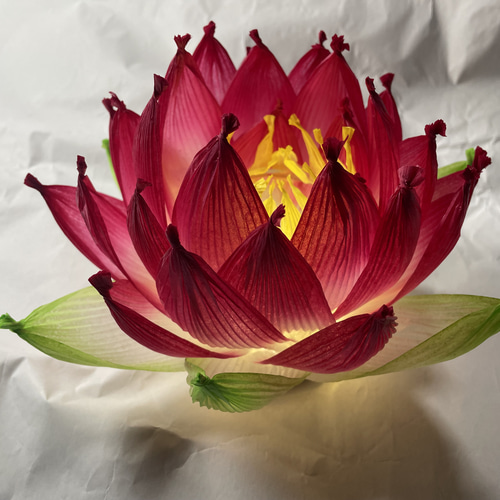 ランプベルジェ　蓮の花 開花 蓮の花ランプ 平型 癒し スタンドライト・テーブルランプ riku