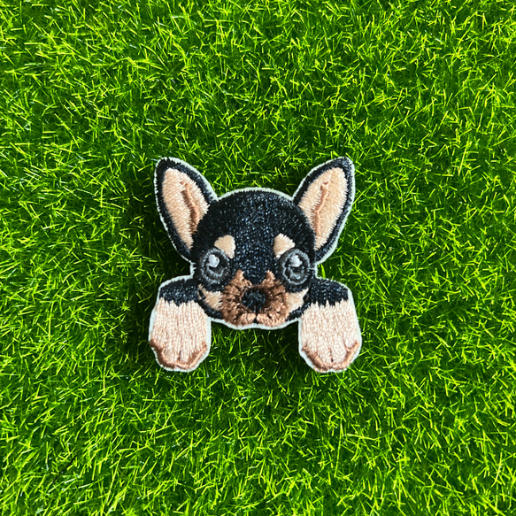 かわいい ワンちゃん チワワ 犬 アイロンワッペン 刺繍ワッペン  1枚 1枚目の画像