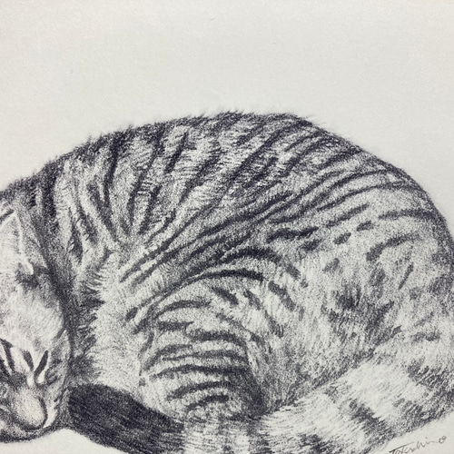 版画「丸まる猫」 版画 takeshiro painting 通販 17548815｜Creema