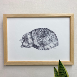 Andrew Cowley 猫 版画 イギリス