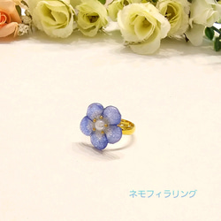 ＊ネモフィラ single flower＊リング  指輪 ピンキーリング【再販可・受注製作可】 1枚目の画像