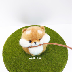 【受注生産】まんまる拒否柴犬　～Wool Farm～　羊毛フェルト 3枚目の画像